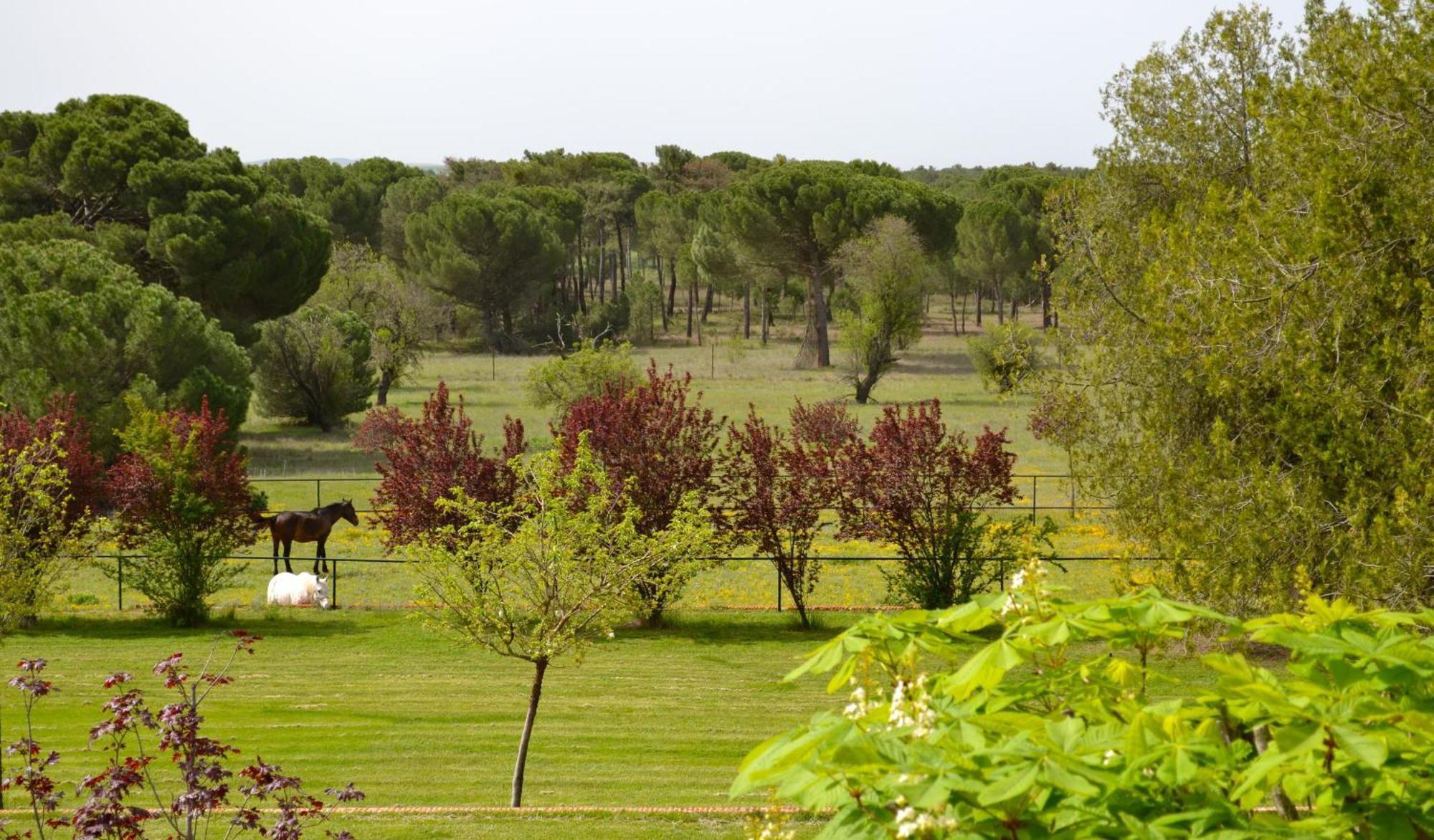 Posada Real Del Pinar Pozal De Gallinas Luaran gambar